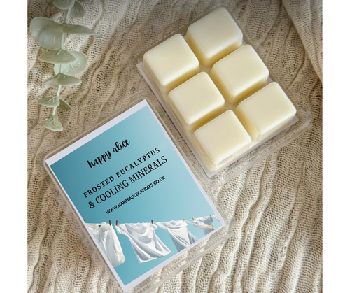 Frosted Eucalyptus & Cooling Minerals 90g Wax Melt Bar